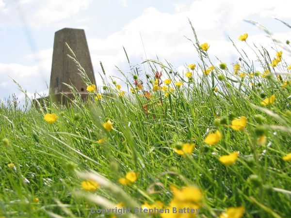 A trig point rises above a field of daisies